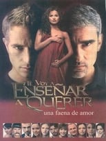 Poster de la serie Te voy a enseñar a querer