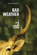 Poster de la película Bad Weather