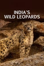 Poster de la película India's Wild Leopards