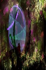 Poster de la película VOID2