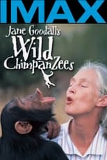 Poster de la película Jane Goodall's Wild Chimpanzees