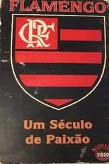 Poster de la película Flamengo: A Century of Passion