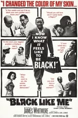 Poster de la película Black Like Me