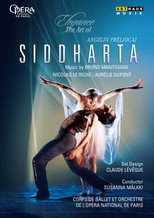 Poster de la película Siddharta