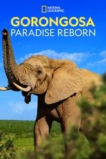 Poster de la película Gorongosa: Paradise Reborn