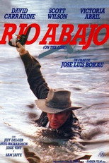 Poster de la película Río abajo