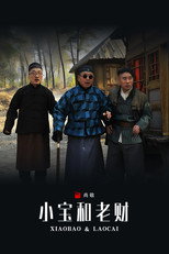 Poster de la serie 小宝和老财