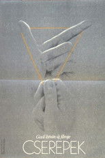 Poster de la película Potteries