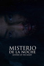 Poster de la película Mystery of the Night