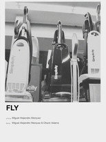 Poster de la película Fly