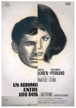 Poster de la película Un abismo entre los dos