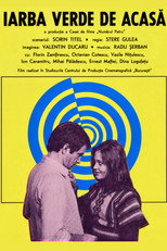 Poster de la película The Green Grass of Home