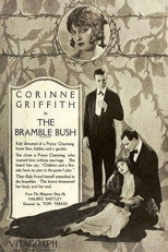 Poster de la película The Bramble Bush