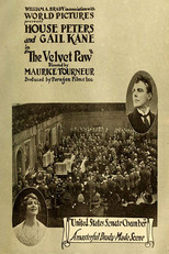Poster de la película The Velvet Paw