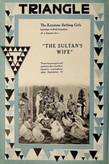 Poster de la película The Sultan's Wife