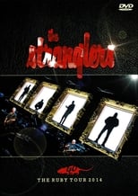 Poster de la película The Stranglers: The Ruby Tour
