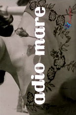 Poster de la película Adio mare
