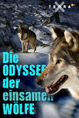 Poster de la película Die Odyssee der einsamen Wölfe