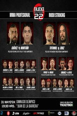Poster de la película Budo Sento Championship 22