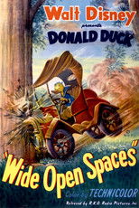 Poster de la película Wide Open Spaces