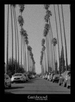 Poster de la película Greyhound