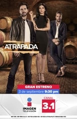 Poster de la serie Atrapada