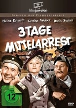 Poster de la película Drei Tage Mittelarrest