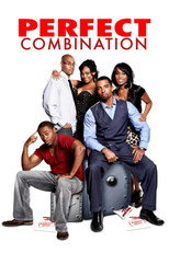 Poster de la película Perfect Combination