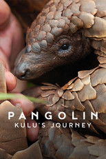 Poster de la película Pangolin: Kulu's Journey