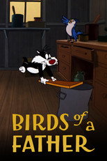 Poster de la película Birds of a Father