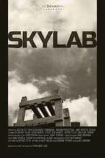 Poster de la película Skylab