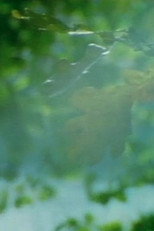 Poster de la película Hej natur