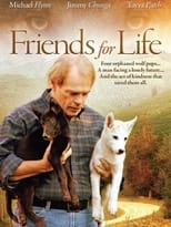 Poster de la película Friends for Life