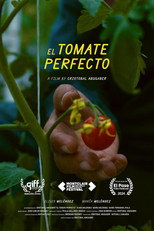 Poster de la película The Perfect Tomato