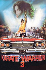 Poster de la película Karate Warrior 3