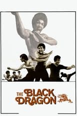 Poster de la película The Black Dragon