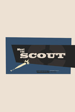 Poster de la película Meet the Scout