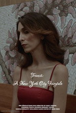 Poster de la película Transit: A New York City Fairytale