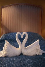 Poster de la película Swan Song
