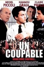 Poster de la película Un coupable