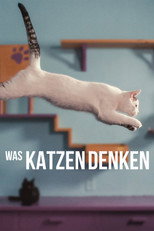 Inside the Mind of a Cat
