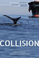 Poster de la película Collision