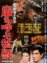 Poster de la película Midair Circus