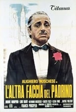 Poster de la película La otra cara del Padrino