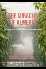 Poster de la película The Miracle of Almería