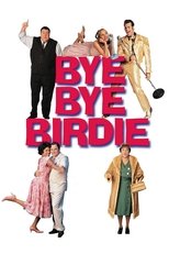 Poster de la película Bye Bye Birdie