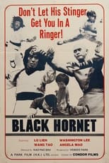 Poster de la película Black Hornet