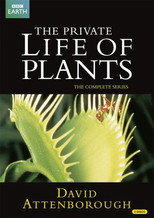 Poster de la película The Private Life of Plants