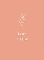 Poster de la película Scar Tissue
