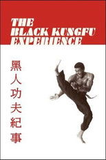 Poster de la película The Black Kung Fu Experience